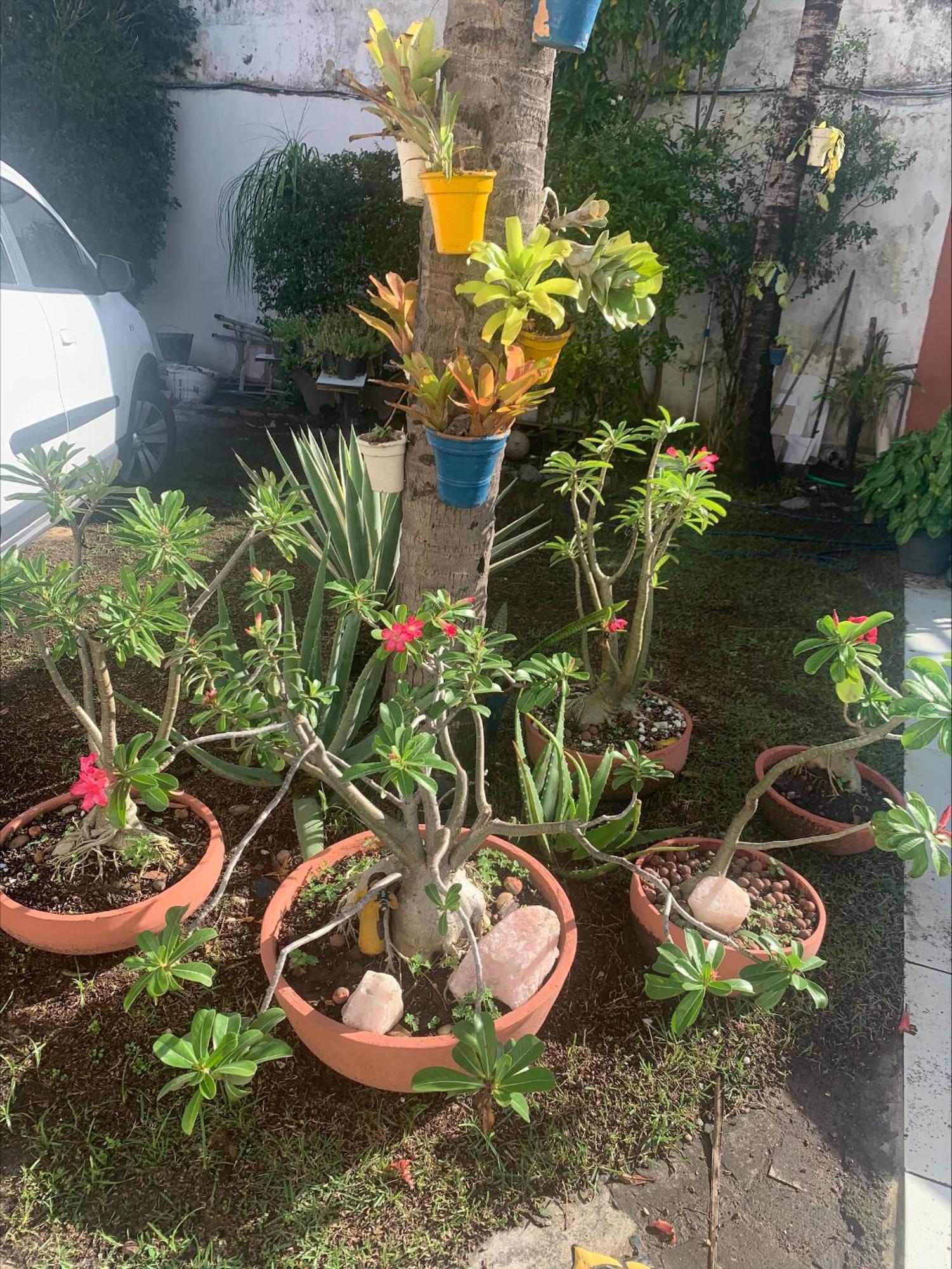Vi&li Homestay Aracaju